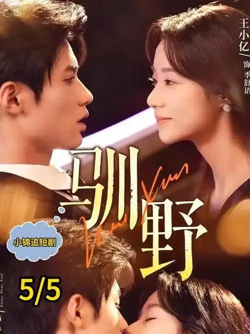 主题图鉴插图：灰色档案柜与分级标签卡